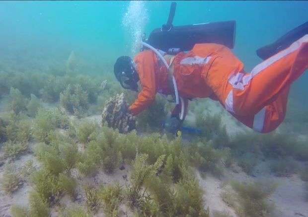 bevictor伟德官网-韦德官方网站