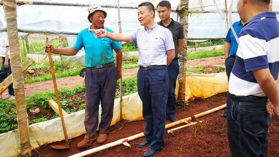 bevictor伟德官网-韦德官方网站