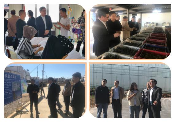 bevictor伟德官网-韦德官方网站