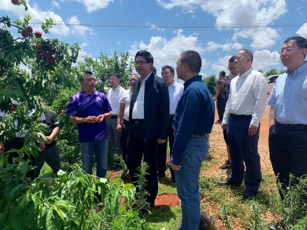 bevictor伟德官网-韦德官方网站