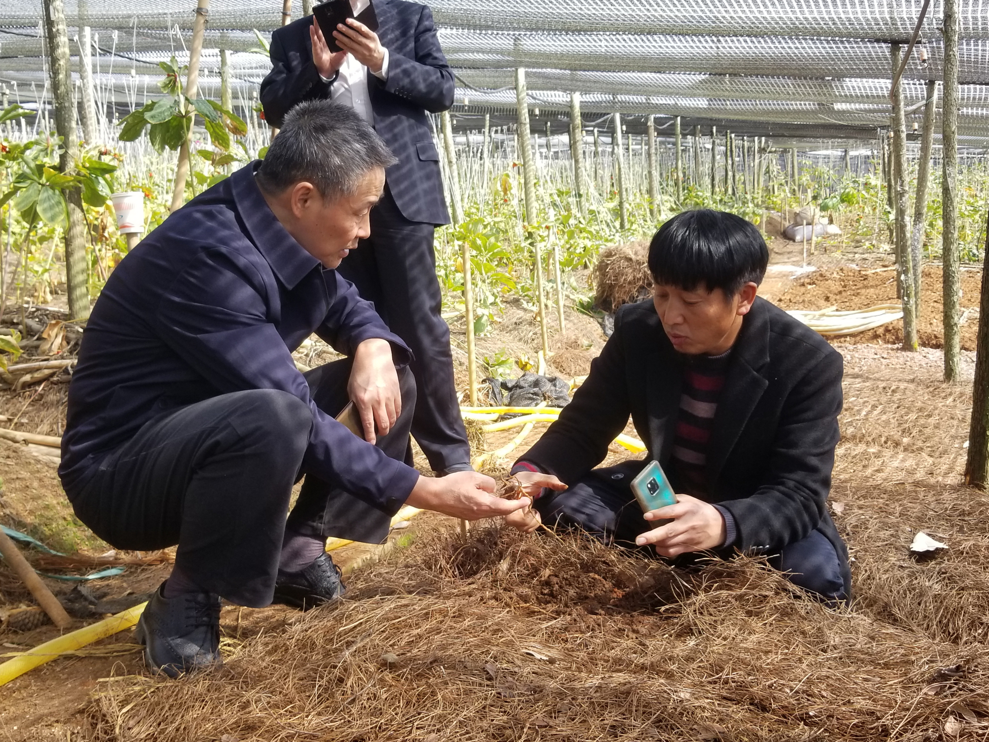 bevictor伟德官网-韦德官方网站